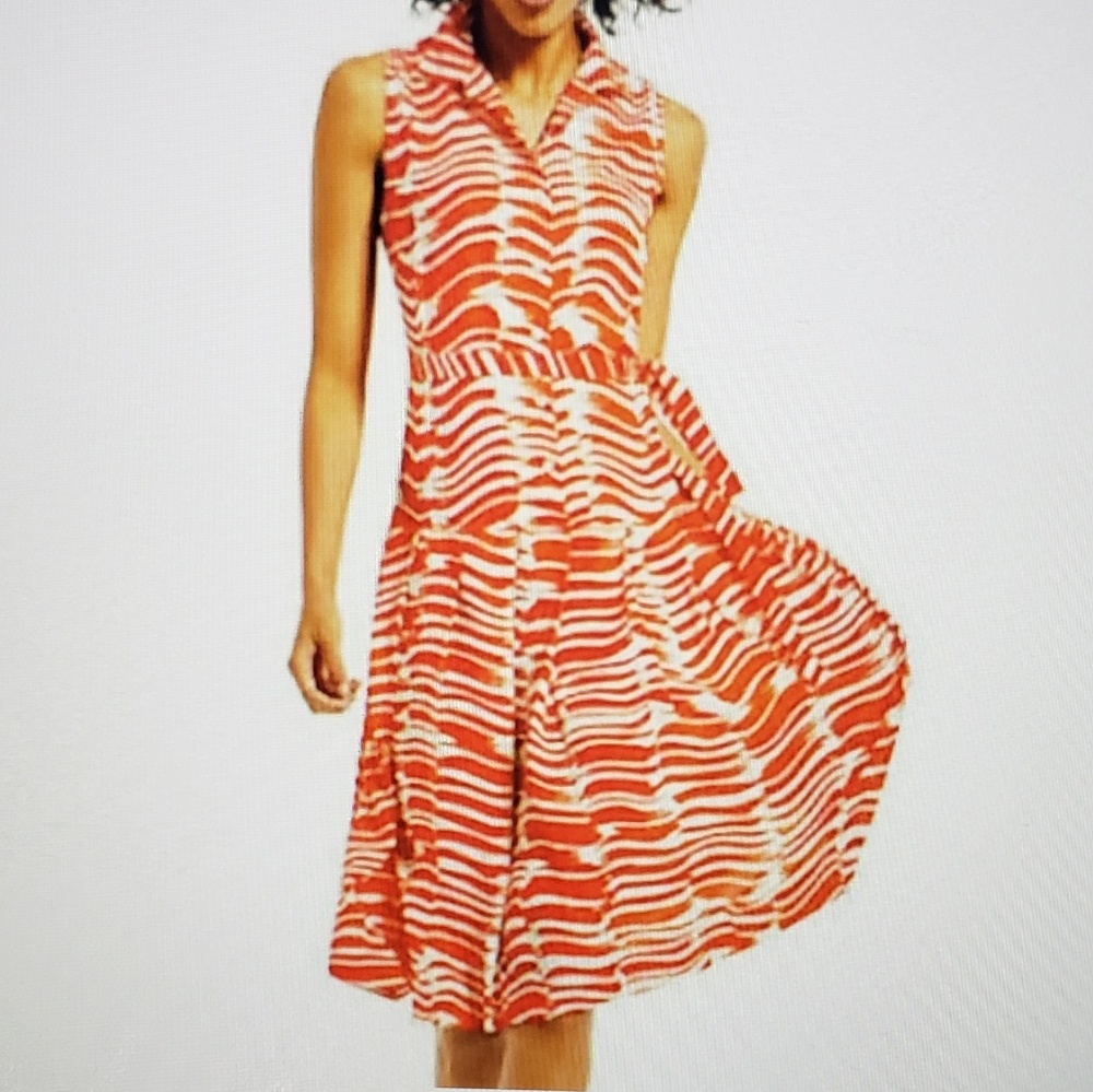 CAbi #281 Brushstroke Spring Dress Size M